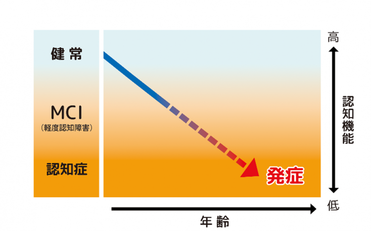 認知症の手前・ＭＣＩにおける予防