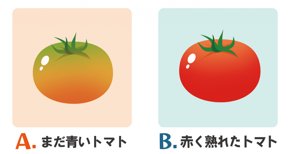 抗酸化作用が高いのはどっち?クイズ3